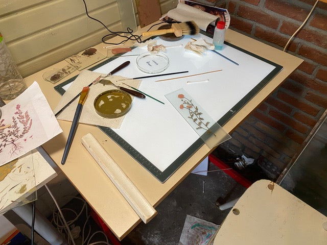 Themaworkshop - Bloemenraam (2 dagdelen)