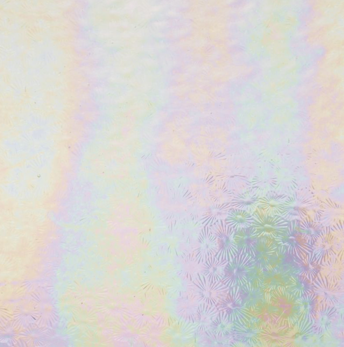 WM 01 Florentine iri  ±20x30cm