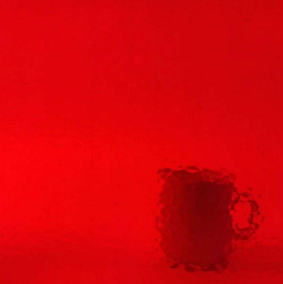 WM 18  Corella Classic  ±20x30cm