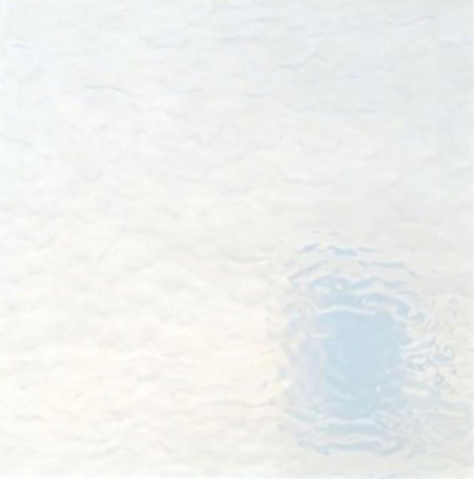 WM 51 LL G ±20x30cm