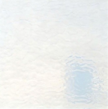 WM 51 LL Corella Classic ±20x30cm