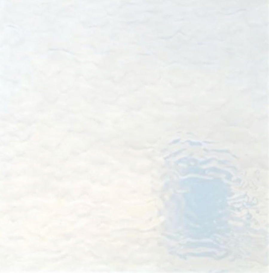 WM 51 LL G ±20x30cm