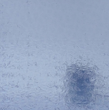 WM 118 Florentine ±20x30cm