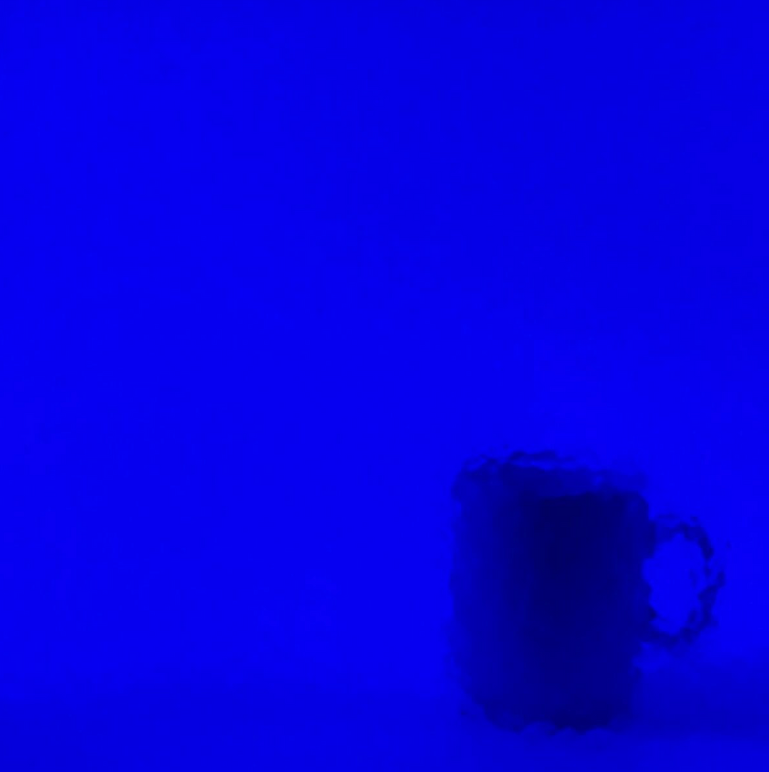 WM 220 Corella Classic  ±20x30cm