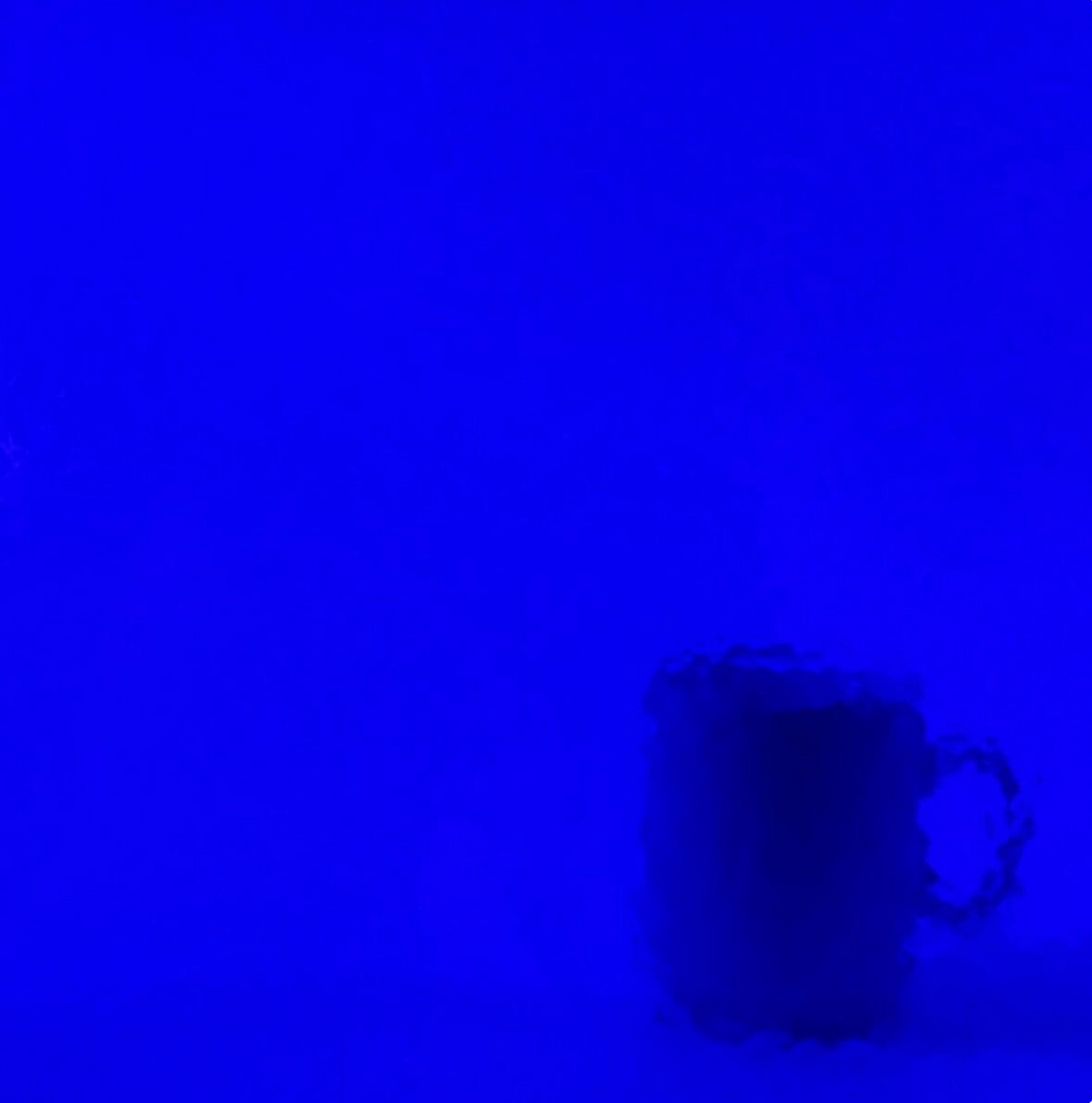 WM 221 Corella classic  ±20x30cm