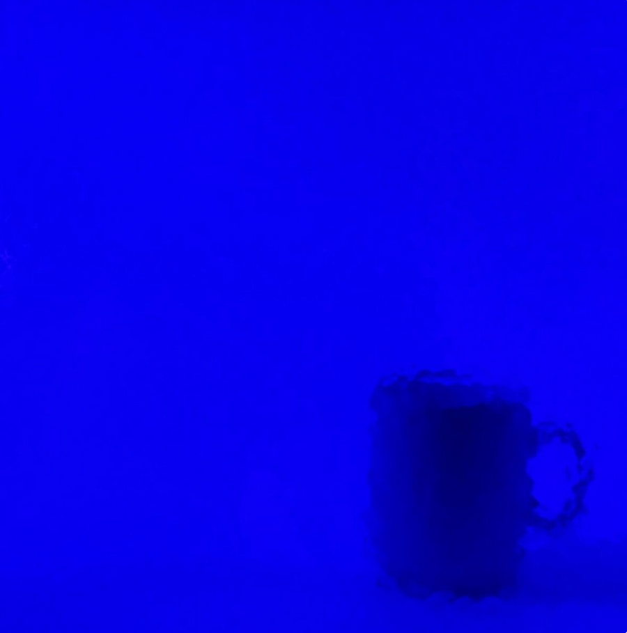 WM 221 Corella classic  ±20x30cm