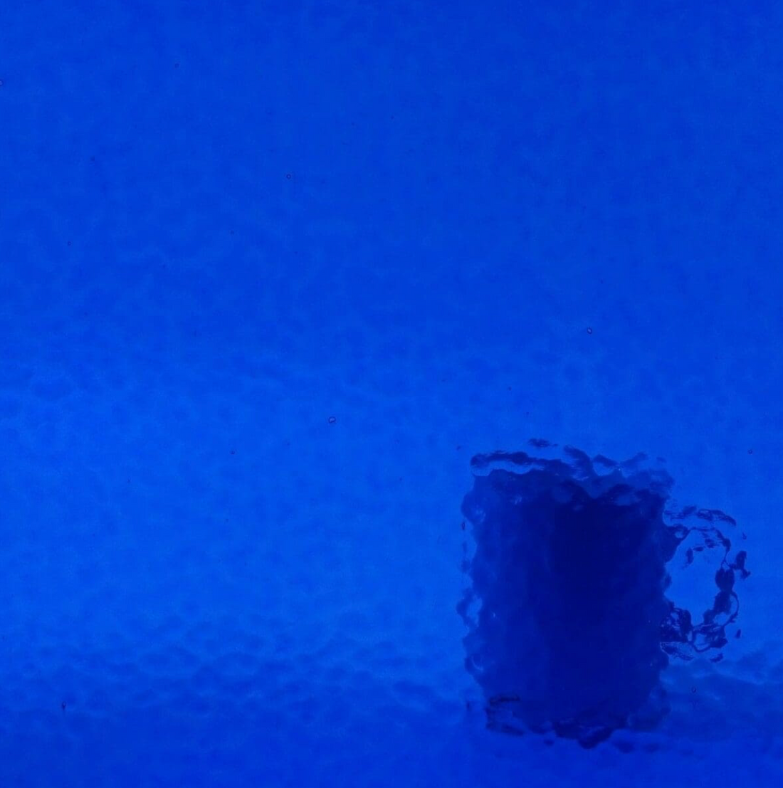 WM 243 Corella Classic ±20x30cm