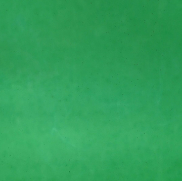 WM 319 Corella Classic ±20x30cm