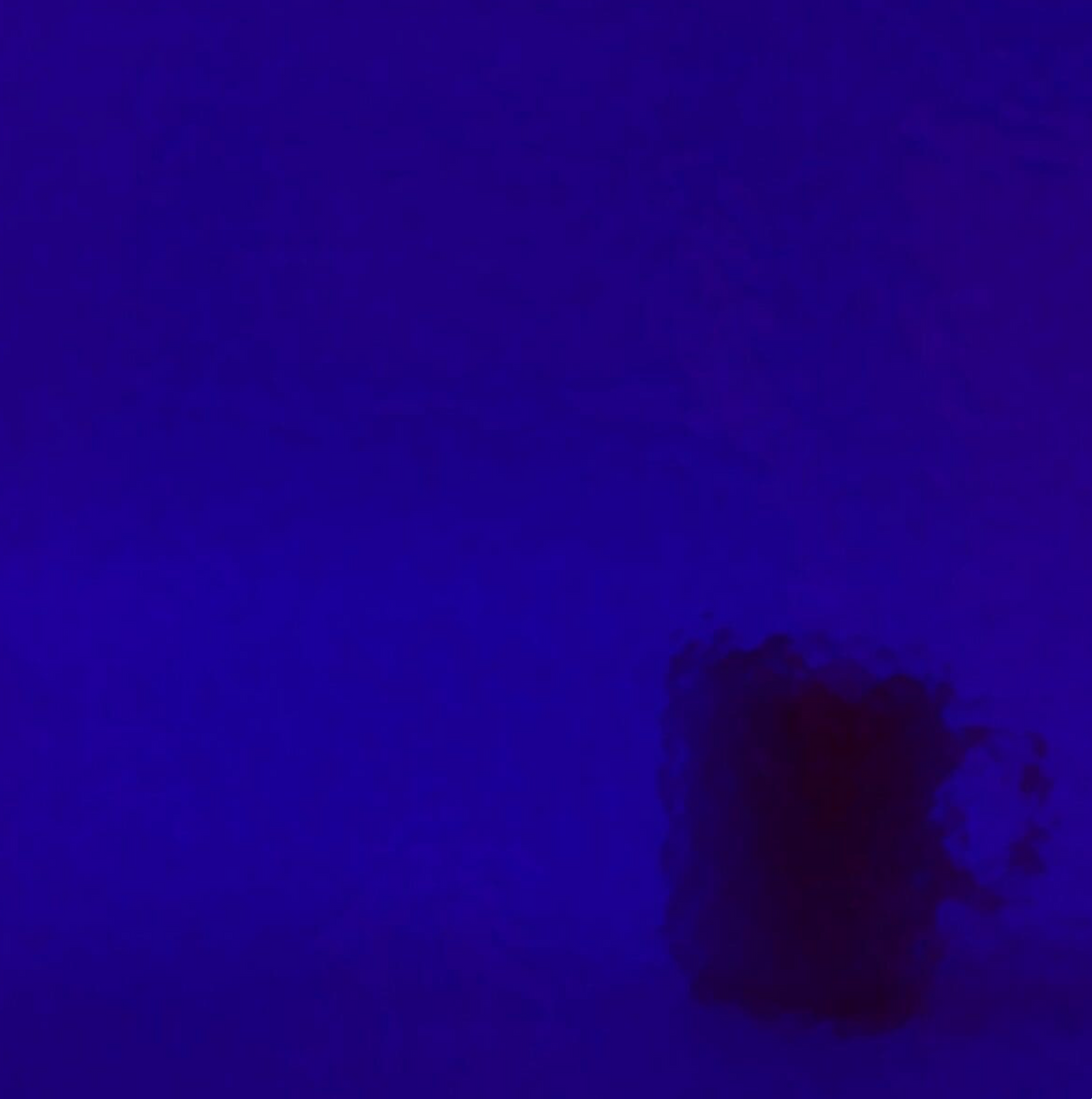 WM 329 Corella Classic ±20x30cm