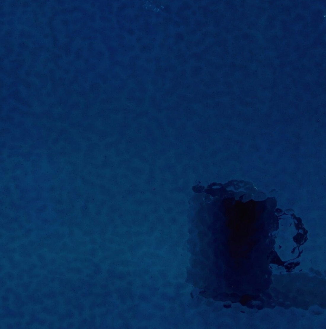 WM 378 Corella Classic ±20x30cm