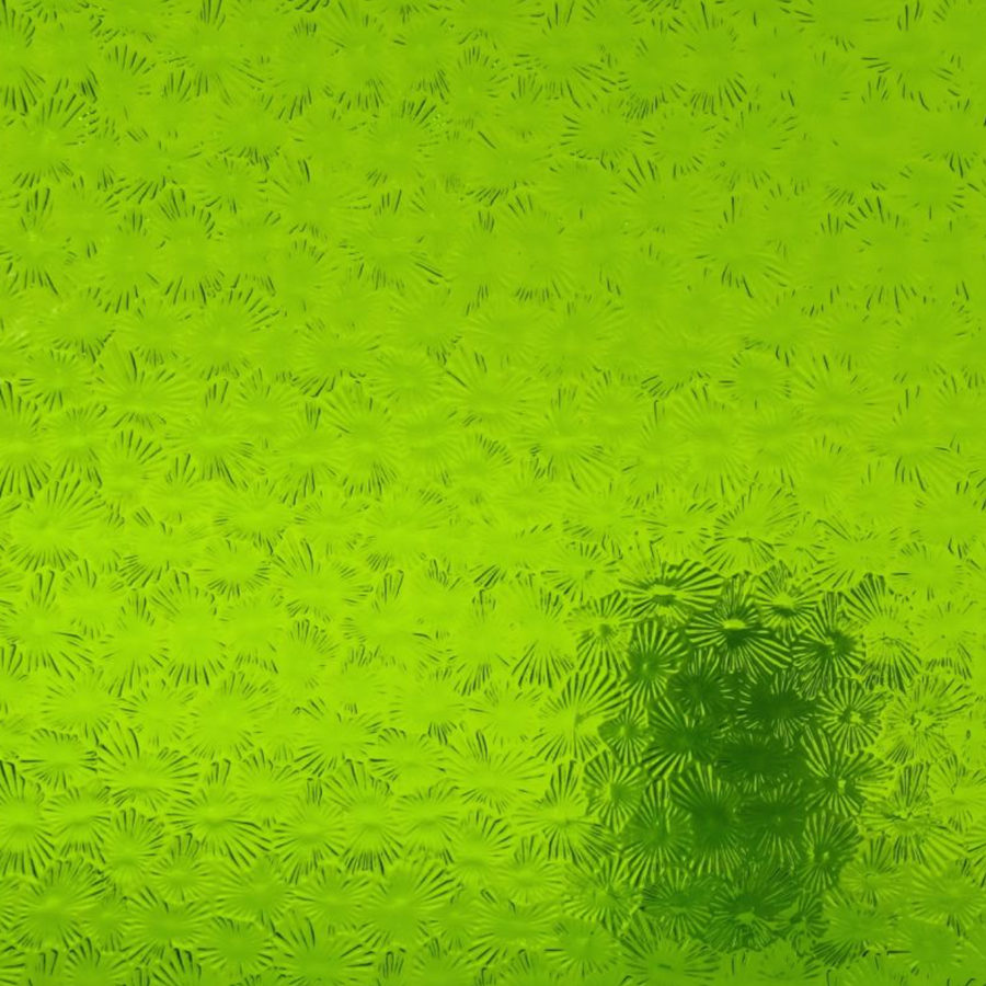 WM 1146 Florentine ±20x30cm