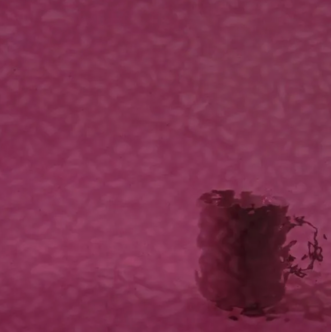 WM 241 Mystic ±20x30cm