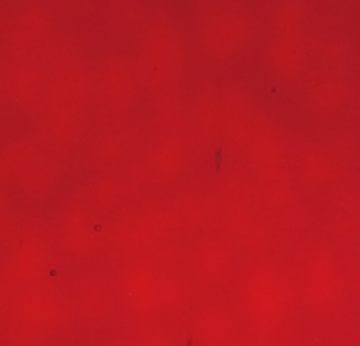 WM 18 Mystic±20x30cm