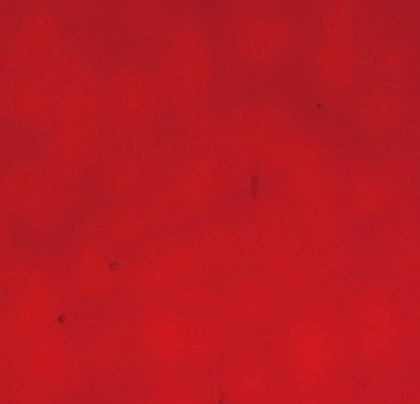 WM 18 Mystic±20x30cm