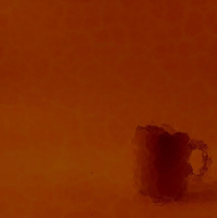 WM 310XX Corella Classic  ±20x30cm