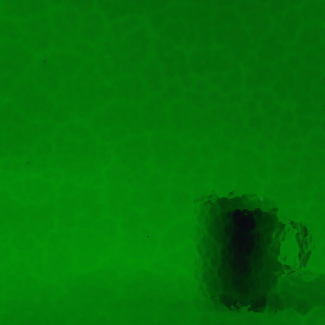Wissmach W320-M Dark Green ±20x30cm